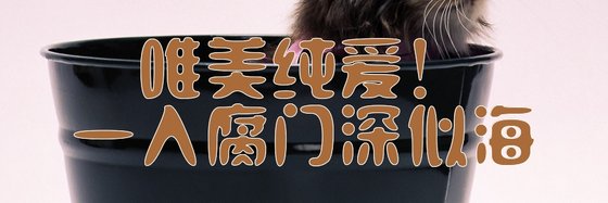 唯美纯爱！一入腐门深似海